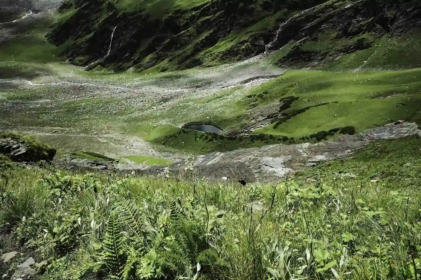 Trip image